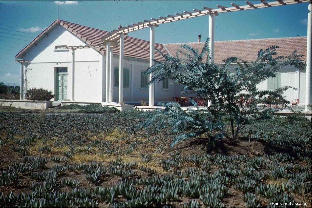 125-AERODROMES-ET-BASES-1945-1962-1-SIDI BEL ABBES ET ALAT 102 (29).jpg